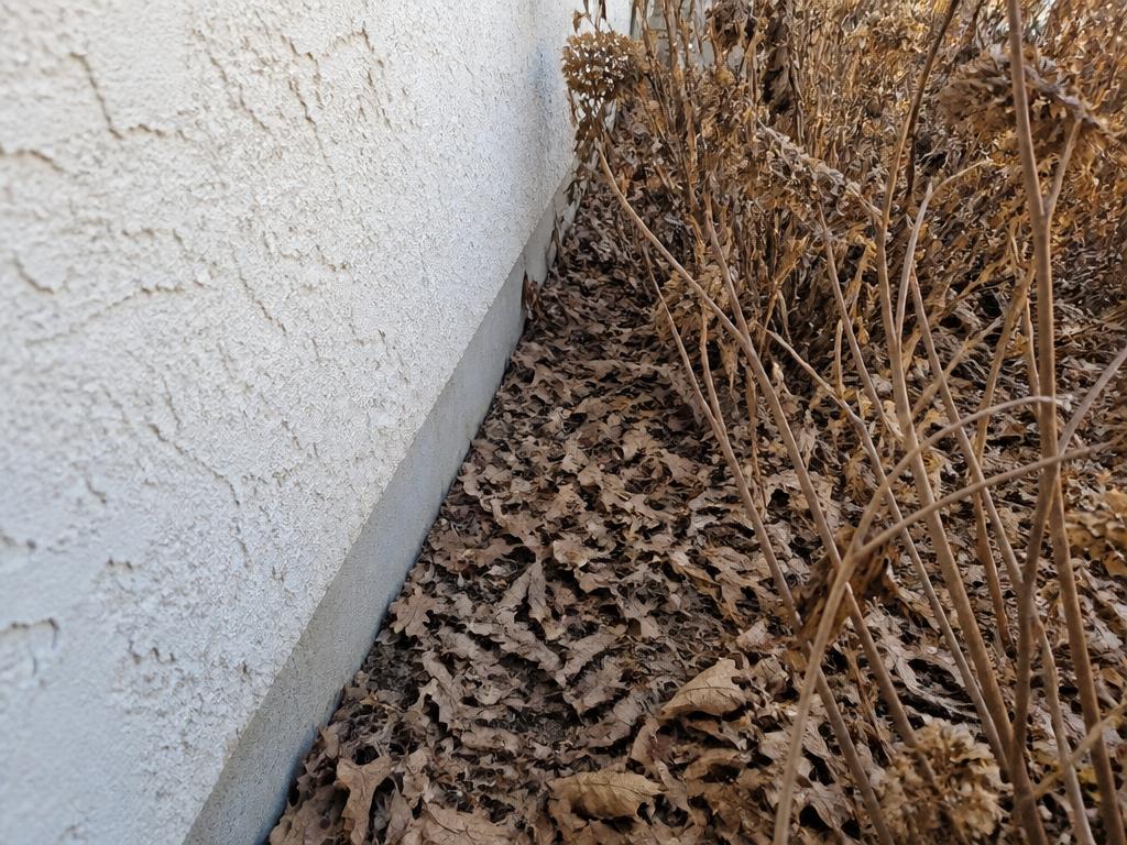 The first five feet, illustrative photograph