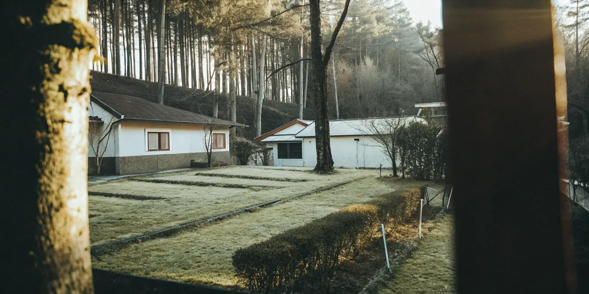Defensible space landscaping around two homes.