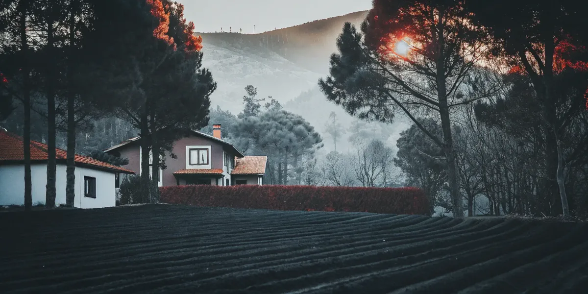 Assessing a home's wildfire risk based on its defensible space and nearby trees.