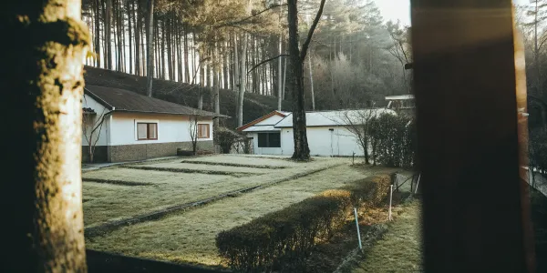 Defensible space landscaping around two homes.