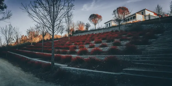 Creating defensible space on a slope with terraced landscaping, retaining walls, and spaced plants.